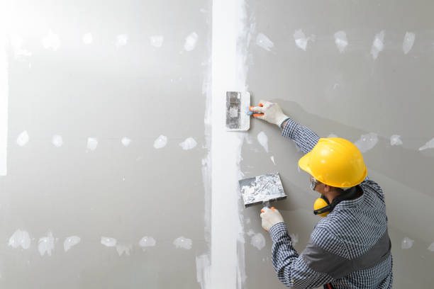 Best Ceiling Drywall Installation  in Miami, AZ